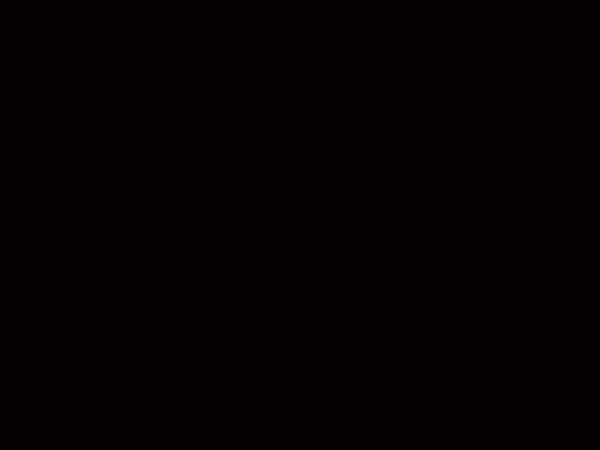 ZLEO